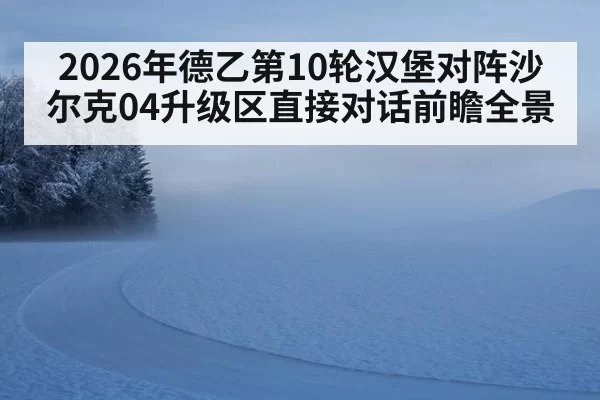 2026年德乙第10轮汉堡对阵沙尔克04升级区直接对话前瞻全景