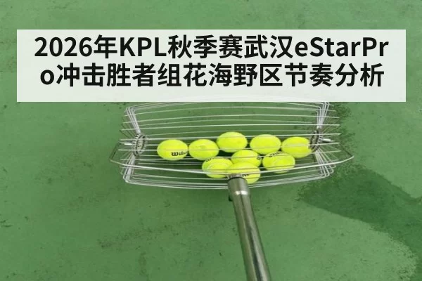 2026年KPL秋季赛武汉eStarPro冲击胜者组花海野区节奏分析